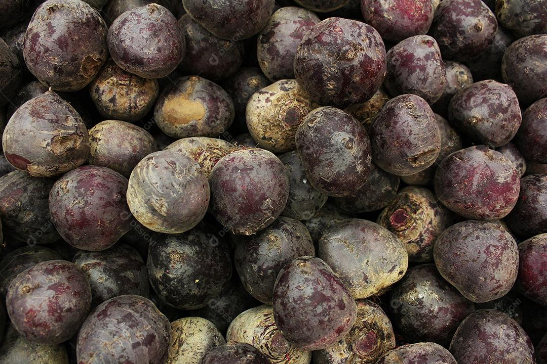 Comida Beterraba verduras sobre pratileiras de mercado prontas para a vendas