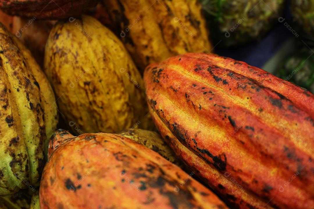 Trinitario frutas comida empilhados sobre praileiras