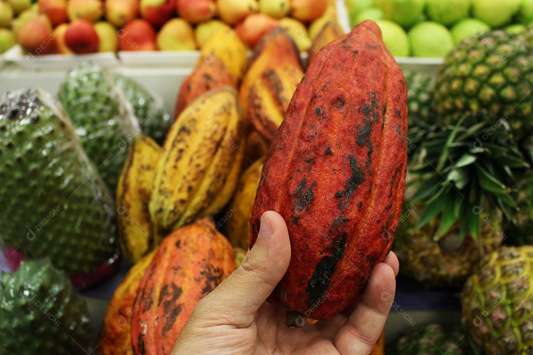 Trinitario frutas comida empilhados sobre praileiras