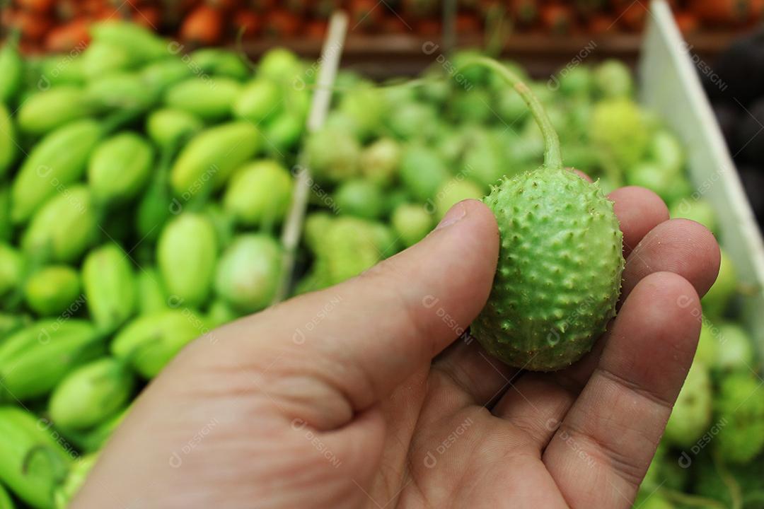Mãos de pessoas segurando Fruto maxixe comida alimentos saudavel