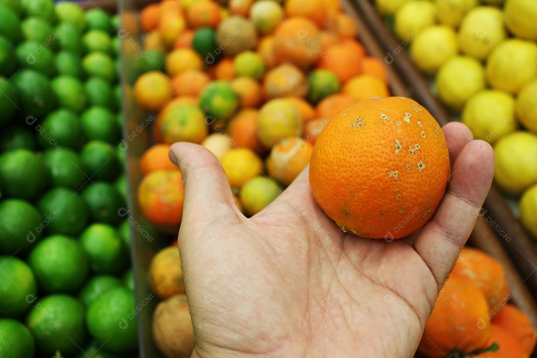 Mãos de pessoas segurando Frutas comida laranja empilhados mercado