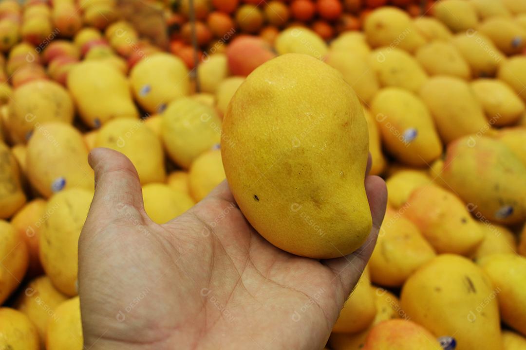 Mãos de pessoas segurando Frutas Manga Afonso mercado