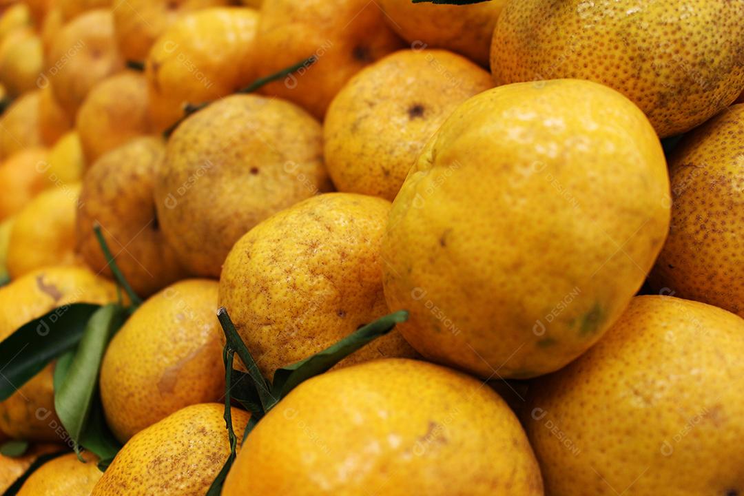 Frutas sobre uma prateleiras mercado supermercado laranja