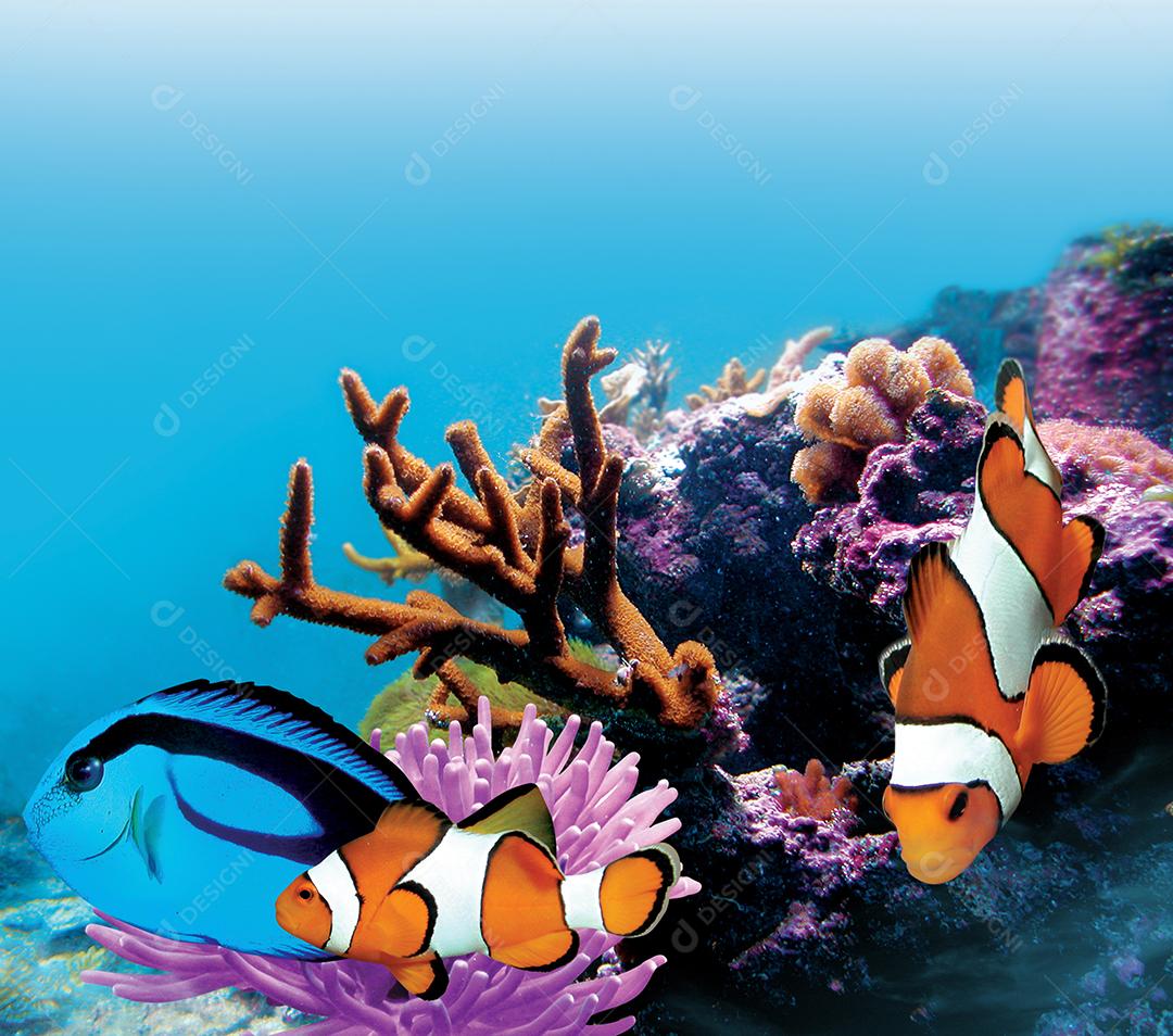 Peixes marinhos de aquário sob o mar azul com corais.