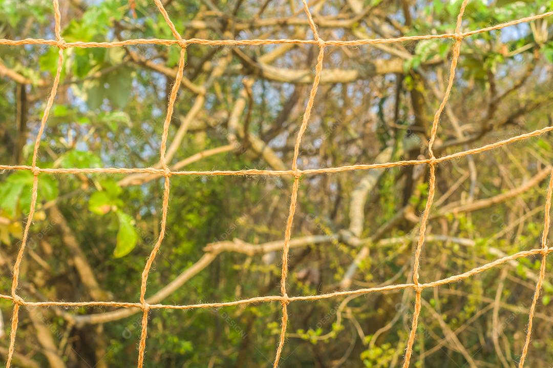 Textura com rede de futebol, luz do dia, grama, terra ao fundo.