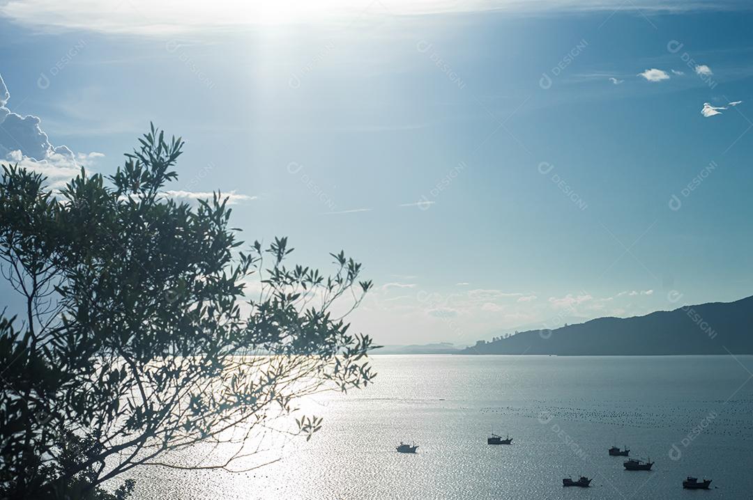 Paisagem praia mar sobre dia ensolarado arvores