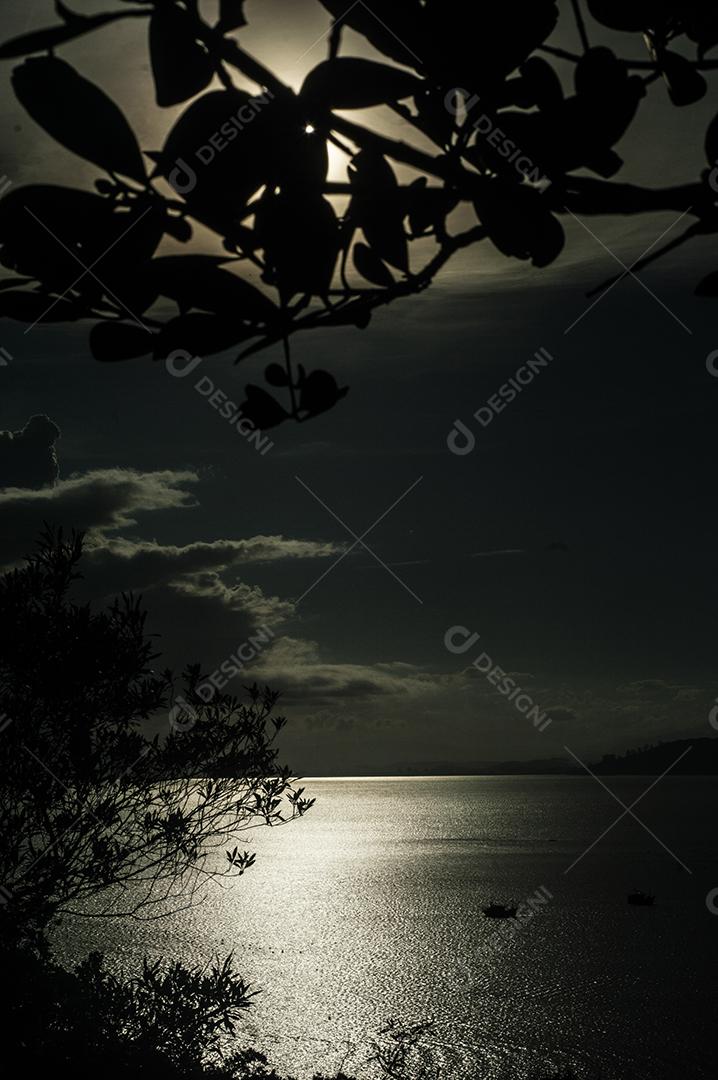 Paisagem praia mar sobre dia ensolarado arvores