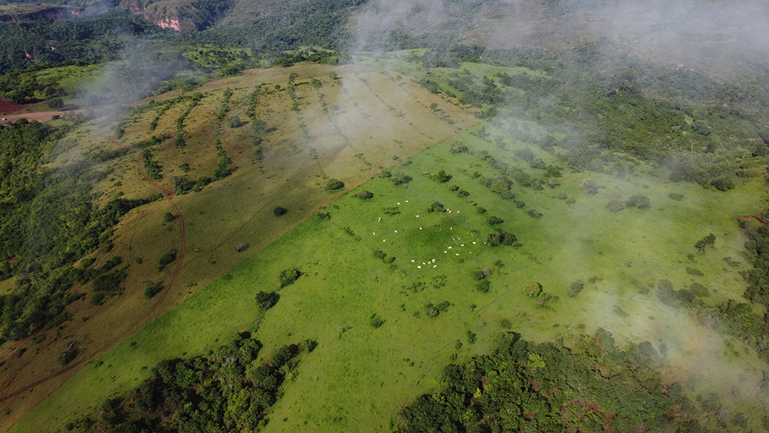 Imagem aérea de fazenda tirada por drone