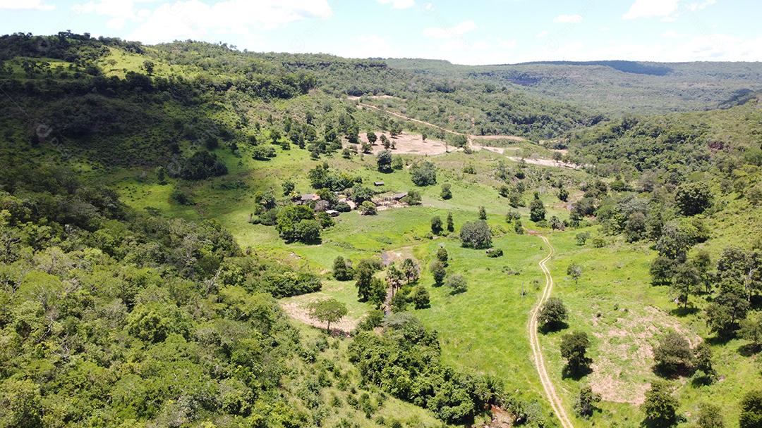 Imagem aérea de linda fazenda com vários bois gados bovinos agropecuária