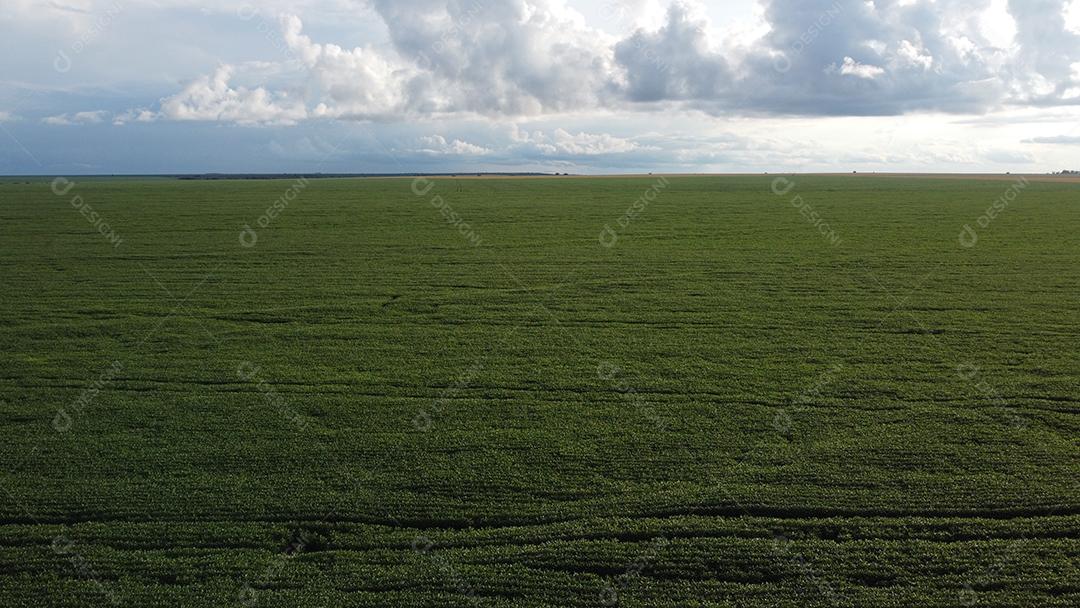 Linda vista aerea campo plantio agropecuaria paisagem céu nublado
