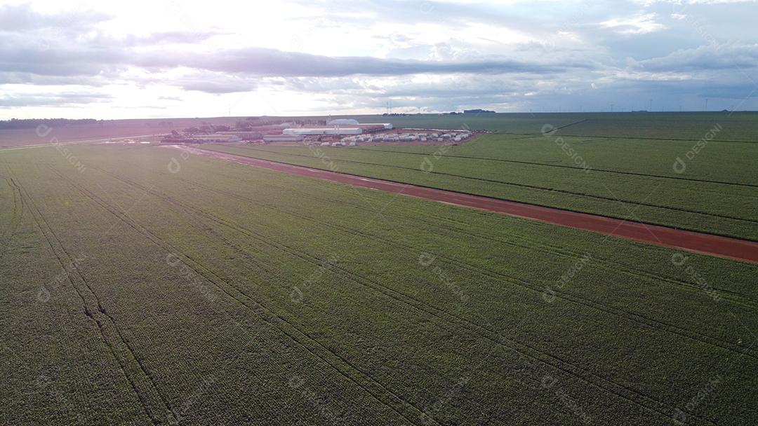 Linda vista aerea campo plantio agropecuaria paisagem céu nublado
