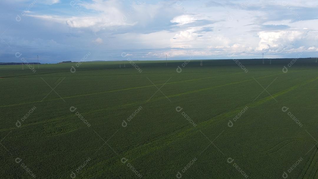Linda vista aerea campo plantio agropecuaria paisagem céu nublado