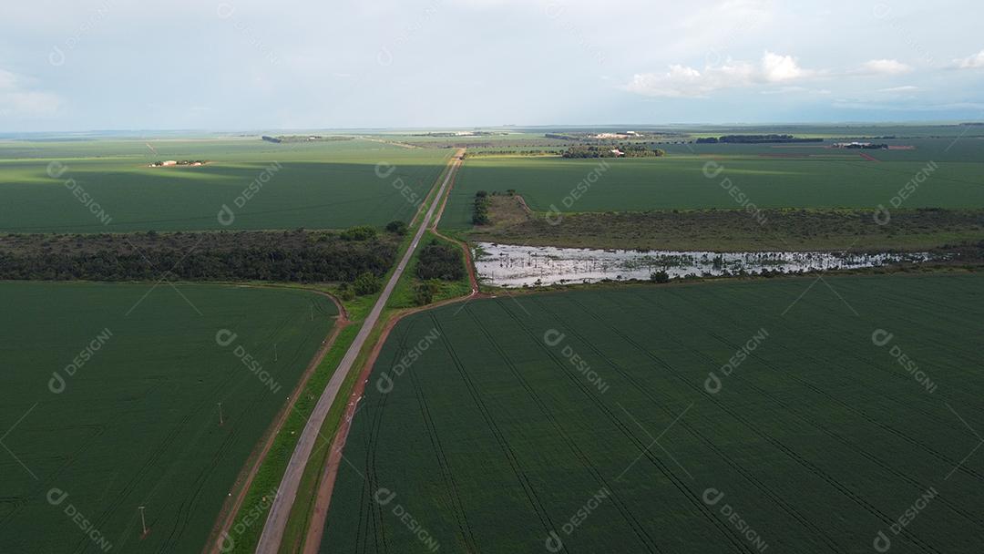 Linda vista aerea campo plantio agropecuaria paisagem céu nublado