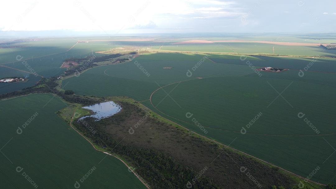 Linda vista aerea campo plantio agropecuaria paisagem céu nublado