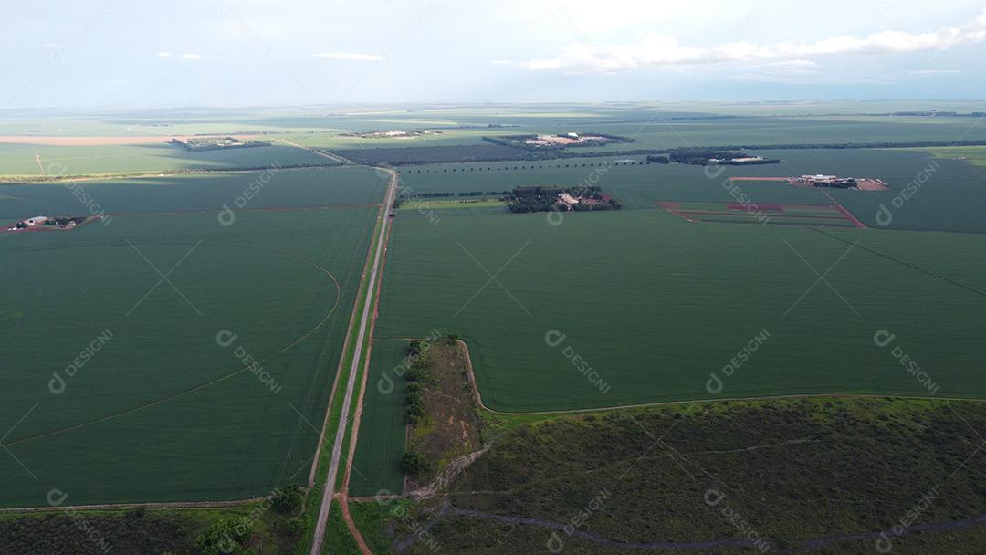Linda vista aerea campo plantio agropecuaria paisagem céu nublado