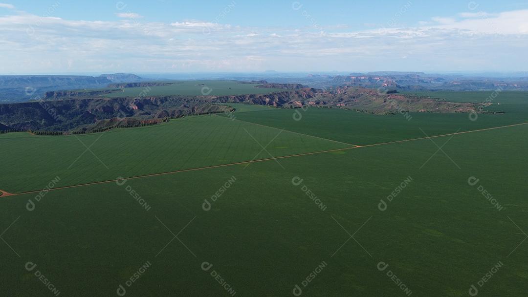 Linda vista aerea campo plantio agropecuaria paisagem céu nublado