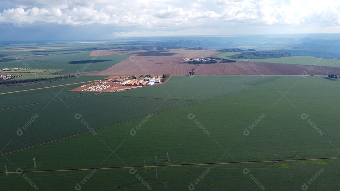 Linda vista aerea campo plantio agropecuaria paisagem céu nublado