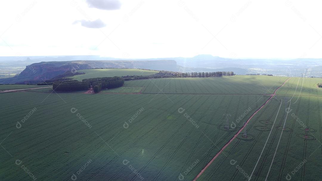 Linda vista aerea campo plantio agropecuaria paisagem céu nublado