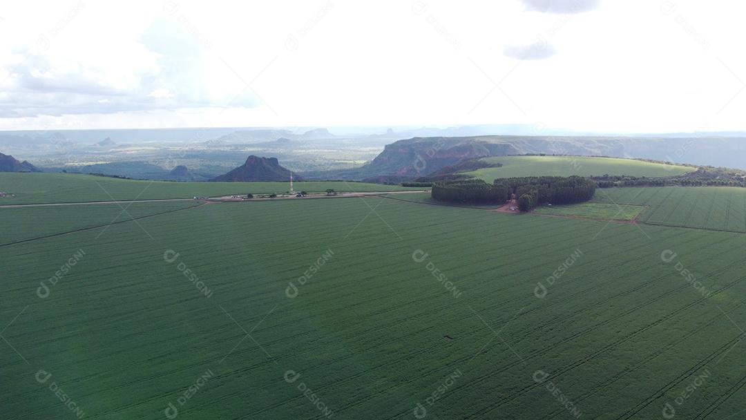 Linda vista aerea campo plantio agropecuaria paisagem céu nublado