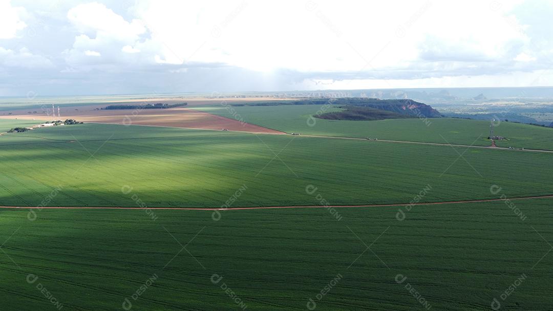 Linda vista aerea campo plantio agropecuaria paisagem céu nublado