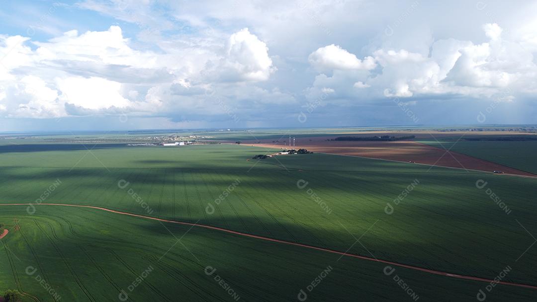 Linda vista aerea campo plantio agropecuaria paisagem céu nublado
