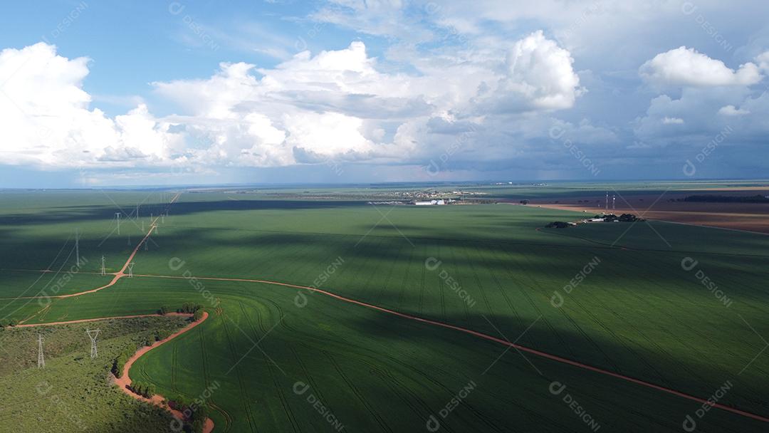 Linda vista aerea campo plantio agropecuaria paisagem céu nublado