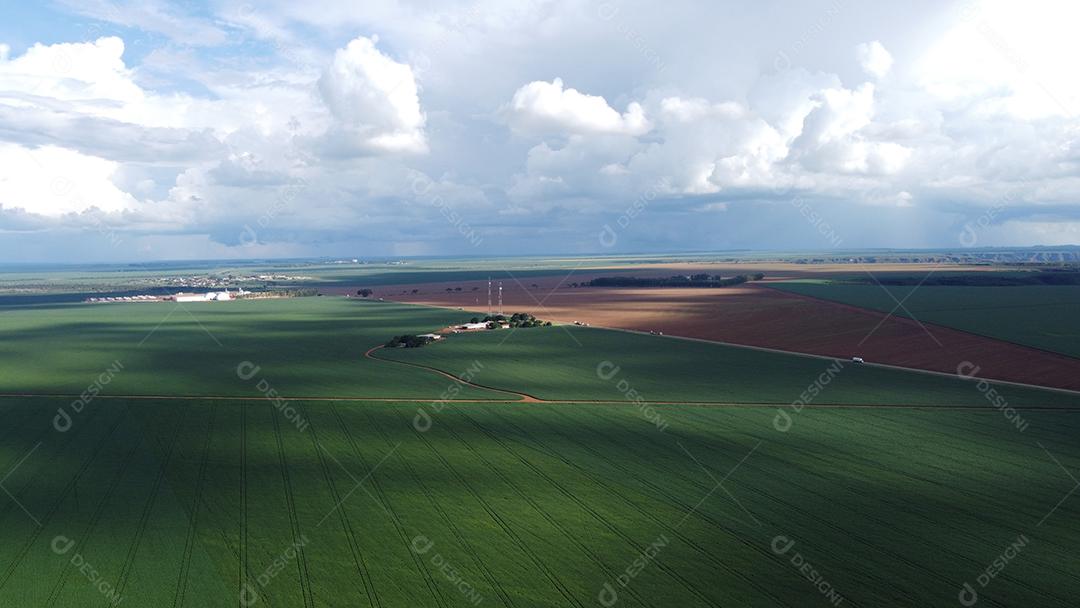 Linda vista aerea campo plantio agropecuaria paisagem céu nublado