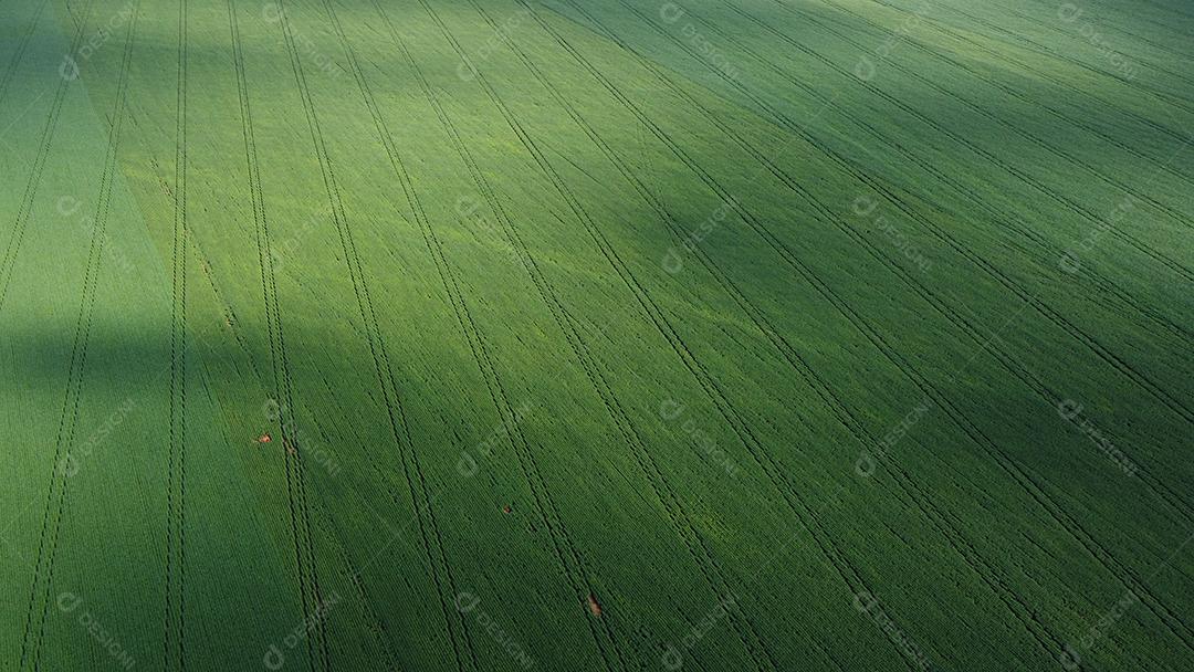 Linda vista aerea campo plantio agropecuaria paisagem céu nublado