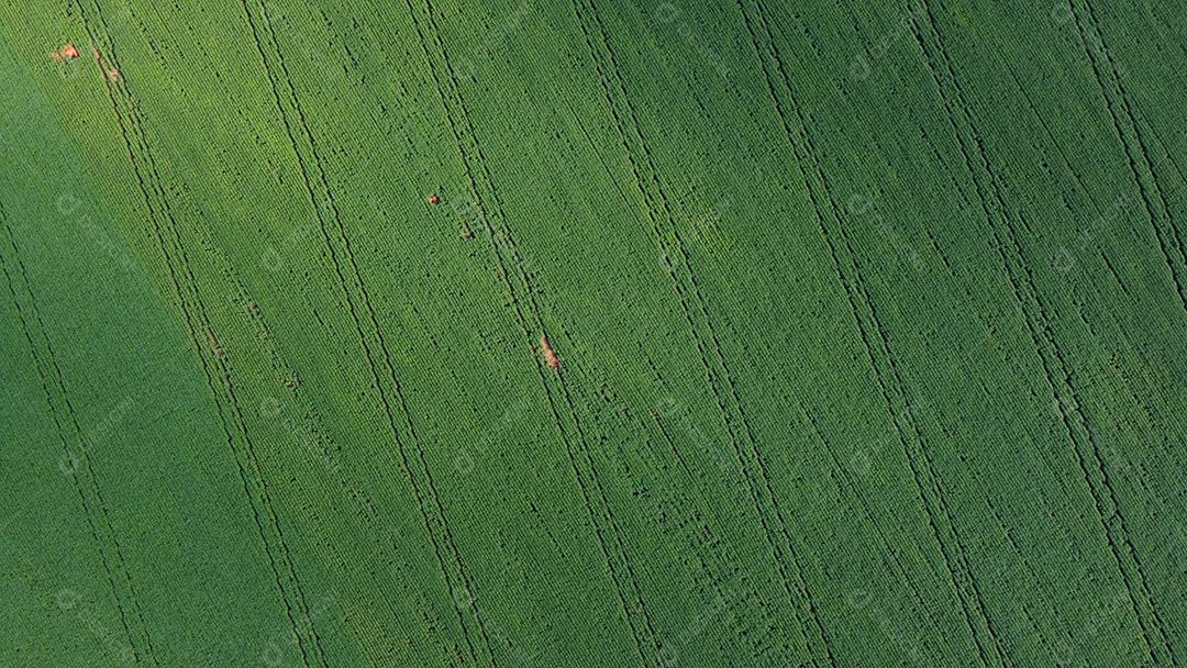 Linda vista aerea campo plantio agropecuaria paisagem céu nublado
