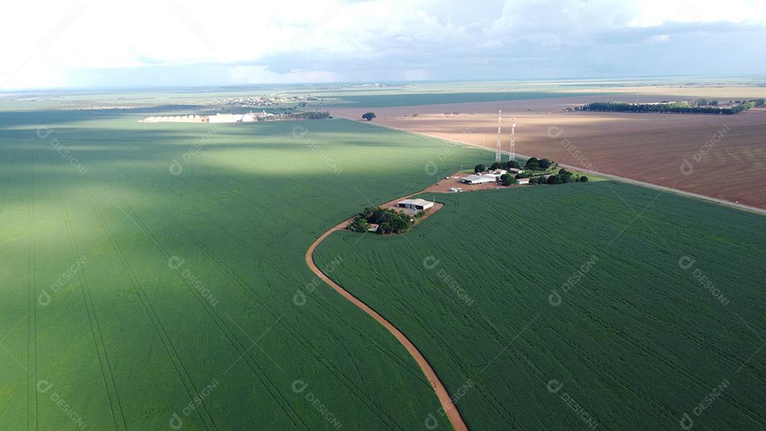 Linda vista aerea campo plantio agropecuaria paisagem céu nublado