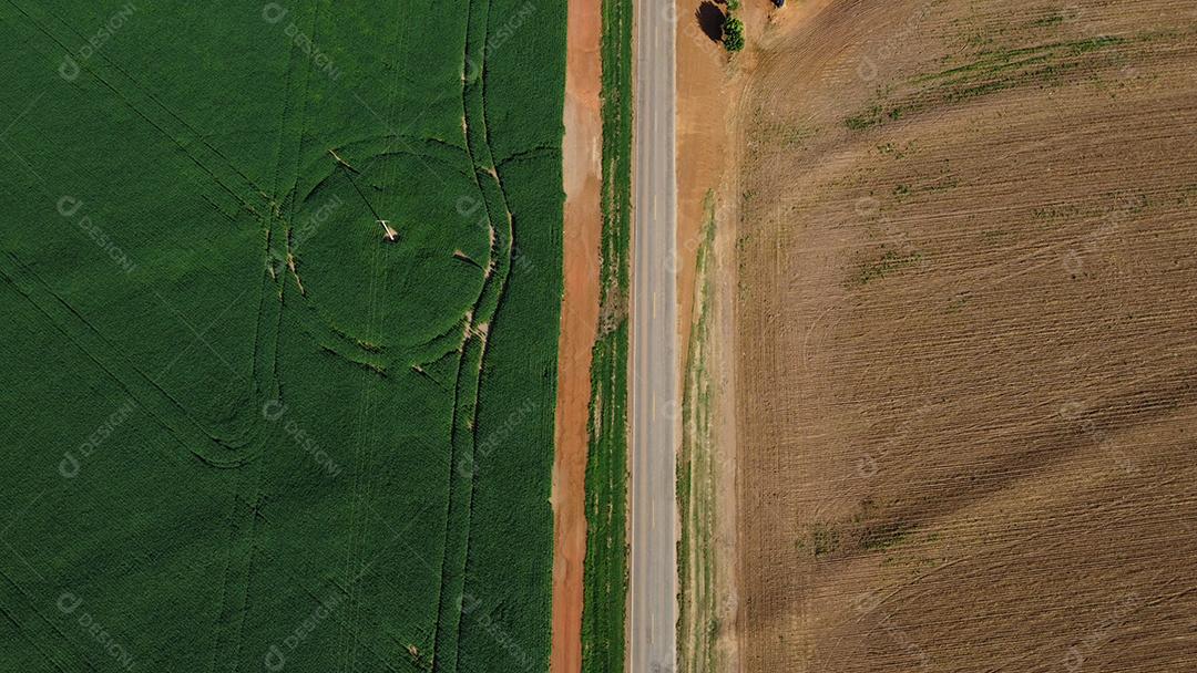 Linda vista aerea campo plantio agropecuaria paisagem céu nublado