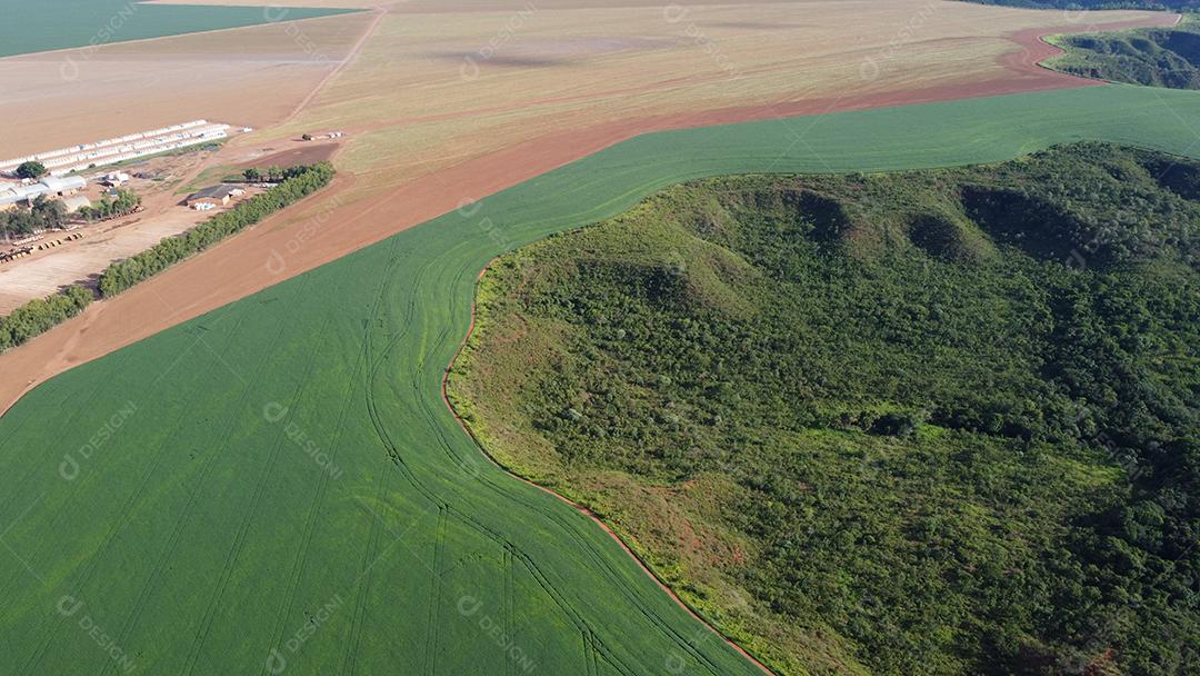 Linda vista aerea campo plantio agropecuaria paisagem céu nublado