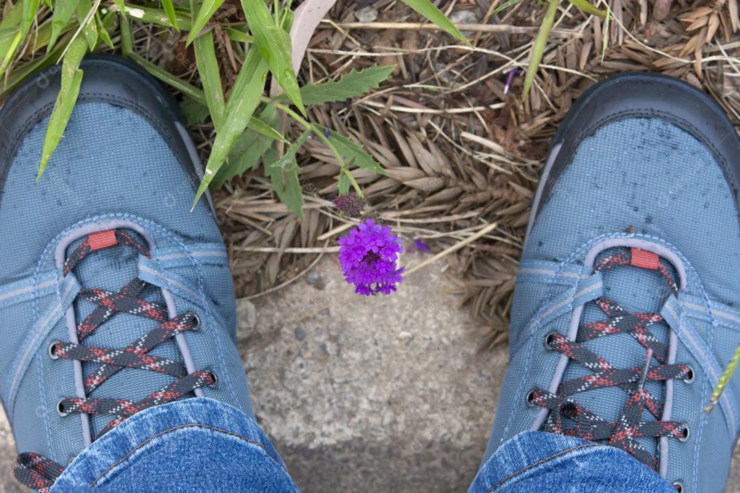 Pés ao lado de uma pequena flor roxa. Natureza frágil