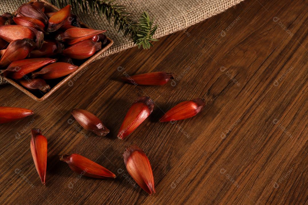 Sementes de araucária típicas usadas como condimento na culinária brasileira