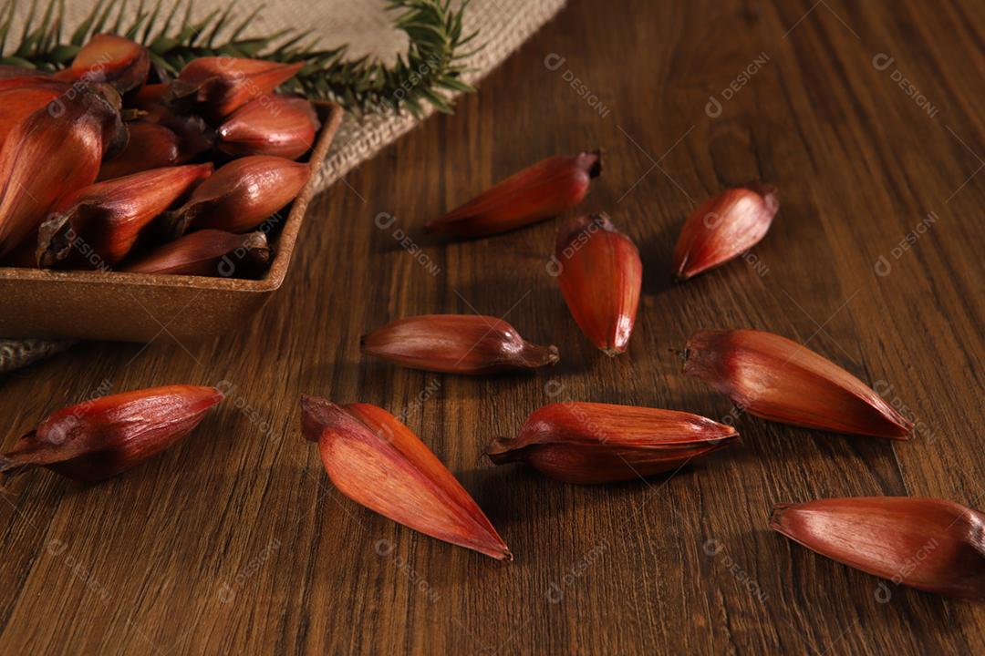 Sementes de araucária típicas usadas como condimento na culinária brasileira