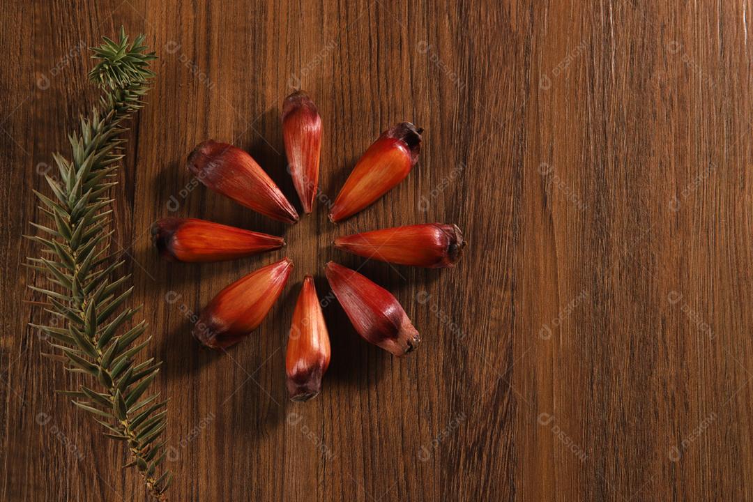 Sementes de araucária típicas usadas como condimento na culinária brasileira