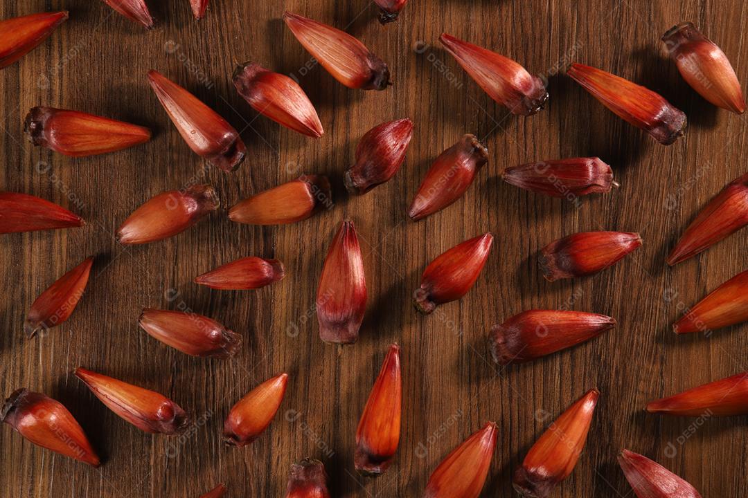 Sementes de araucária típicas usadas como condimento na culinária brasileira