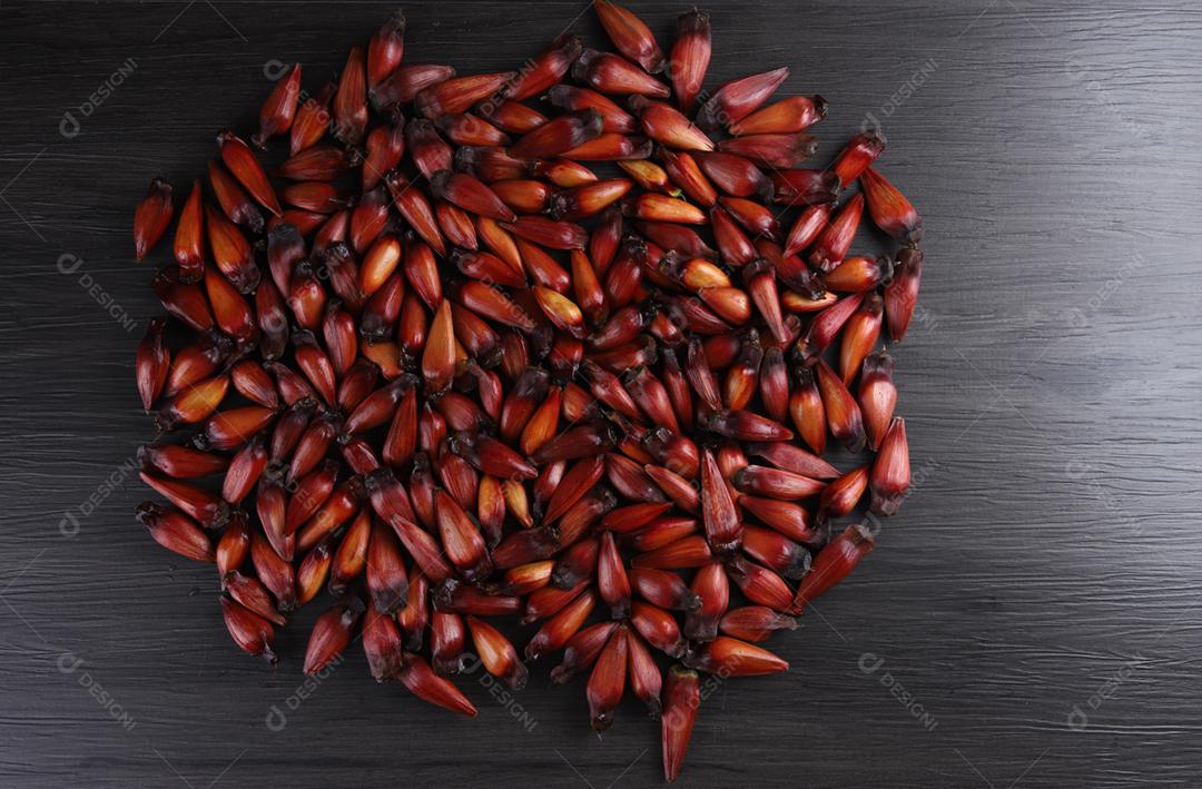 Sementes de araucária típicas usadas como condimento na culinária brasileira