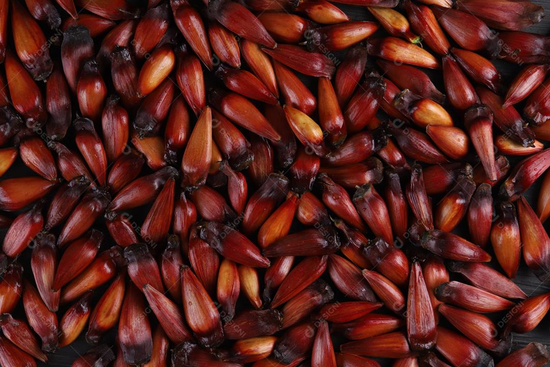 Sementes de araucária típicas usadas como condimento na culinária brasileira