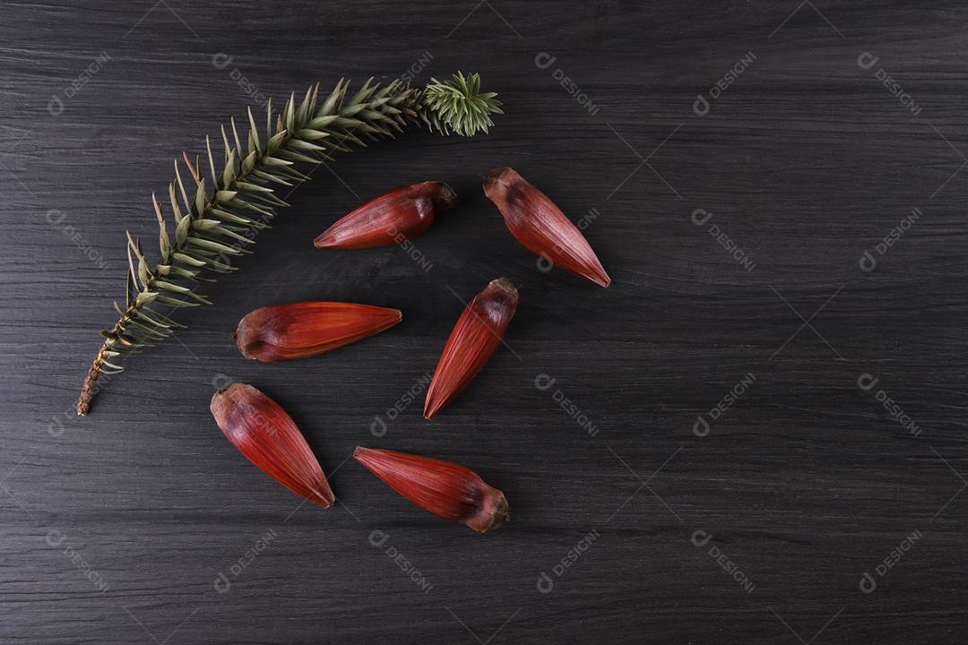 Sementes de araucária típicas usadas como condimento na culinária brasileira