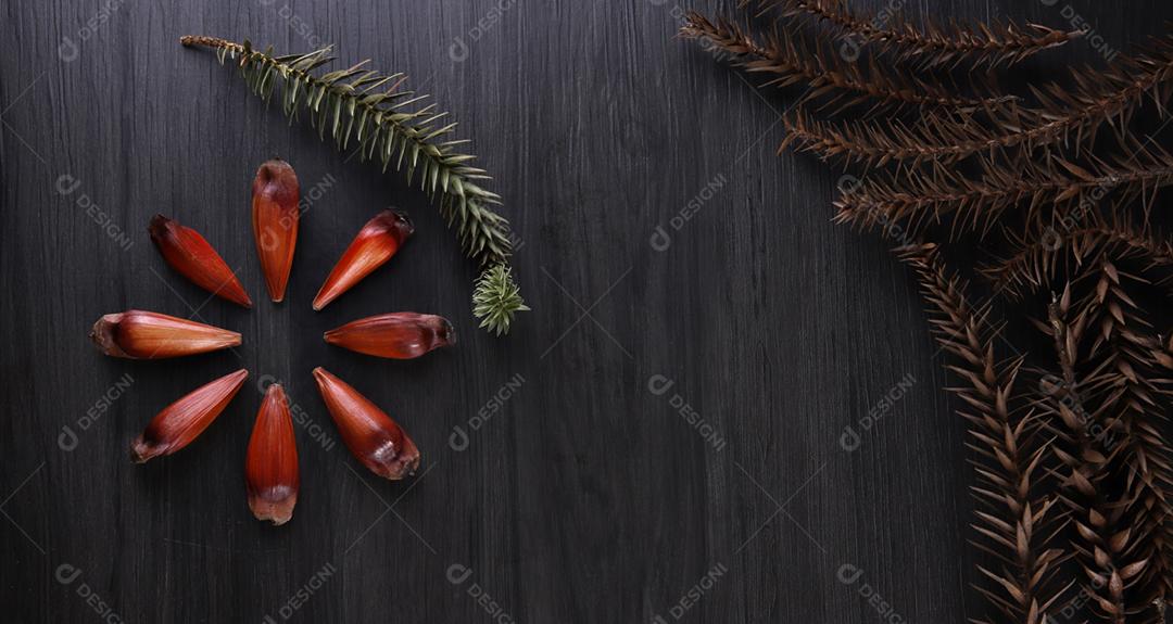 Sementes de araucária típicas usadas como condimento na culinária brasileira