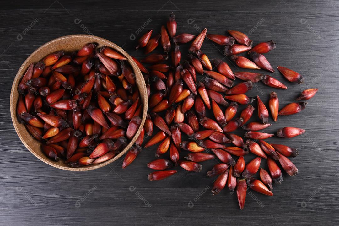 Sementes de araucária típicas usadas como condimento na culinária brasileira