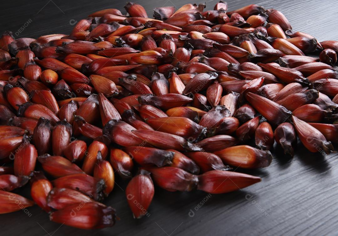 Sementes de araucária típicas usadas como condimento na culinária brasileira