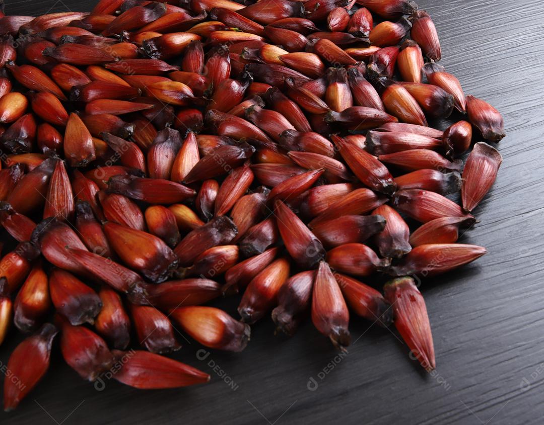 Sementes de araucária típicas usadas como condimento na culinária brasileira