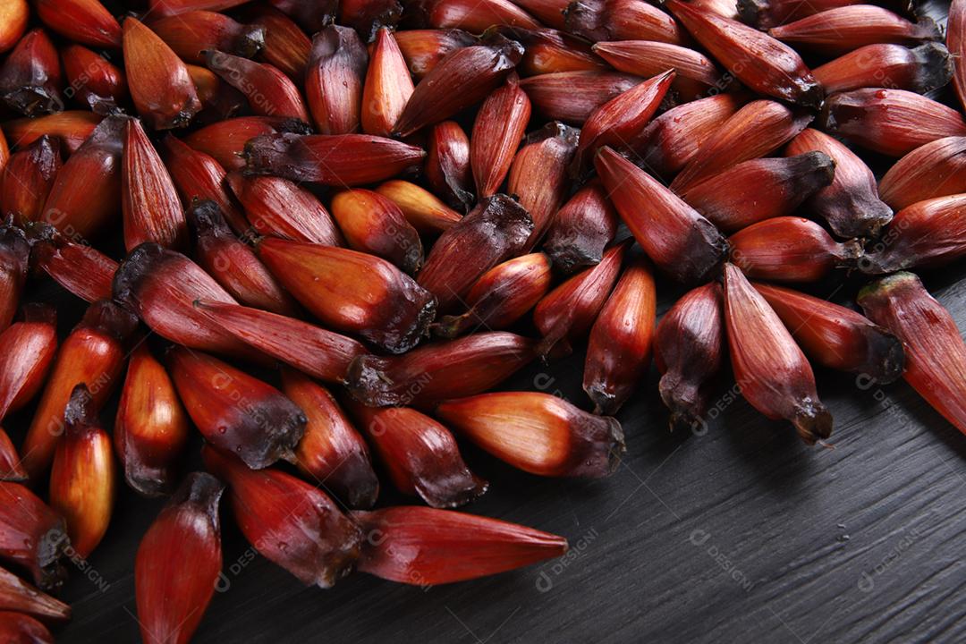 Sementes de araucária típicas usadas como condimento na culinária brasileira