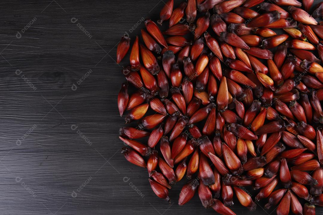 Sementes de araucária típicas usadas como condimento na culinária brasileira