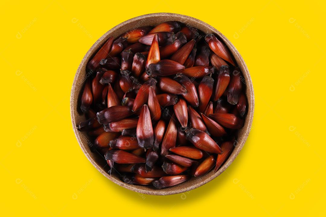 Sementes de araucária típicas usadas como condimento na culinária brasileira