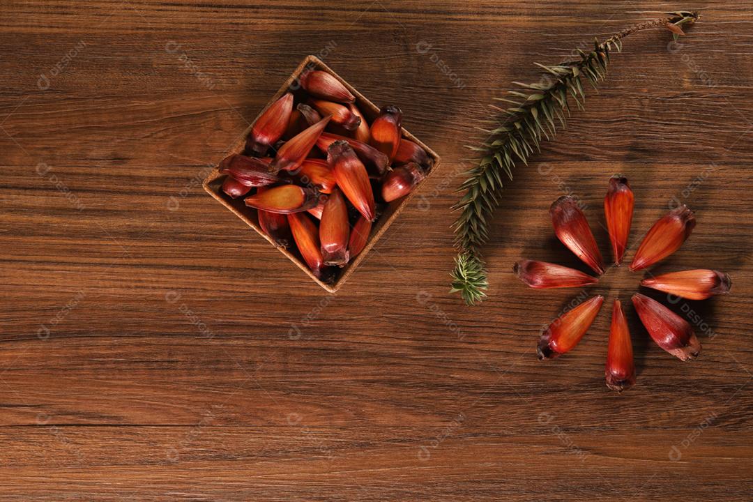 Sementes de araucária típicas usadas como condimento na culinária brasileira