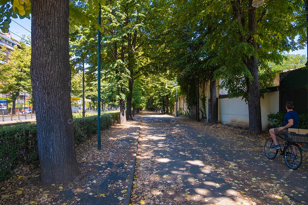 TURIM, ITÁLIA - 23 de agosto de 2021: Vista do belo caminho da árvore na cidade de Turim.