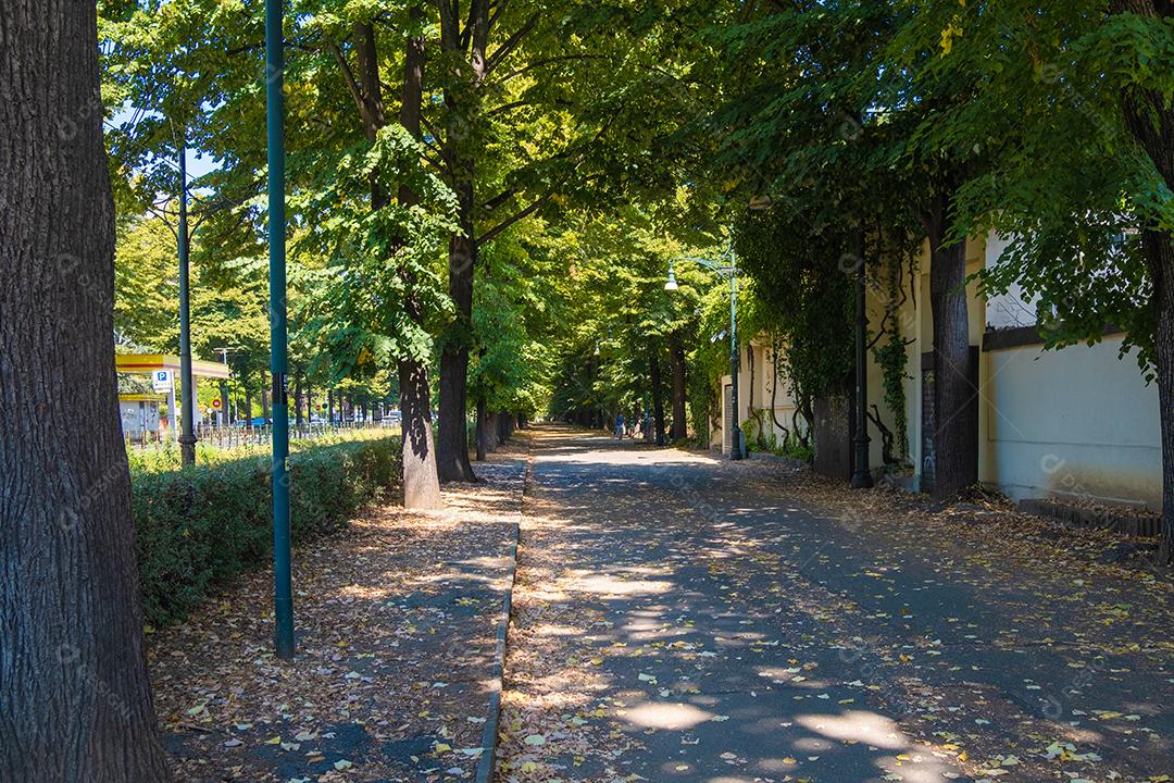 TURIM, ITÁLIA - 23 de agosto de 2021: Vista do belo caminho da árvore na cidade de Turim.